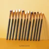 Miss Rose 12 Piece Eye Makeup Brush Set