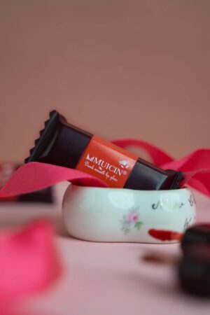 Muicin Wicked Chocolate Matte Lip Gloss