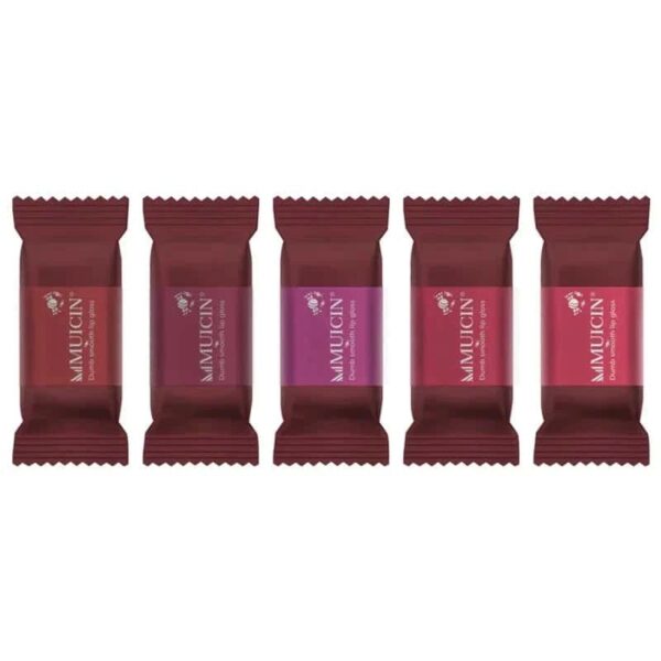 Muicin Wicked Chocolate Matte Lip Gloss